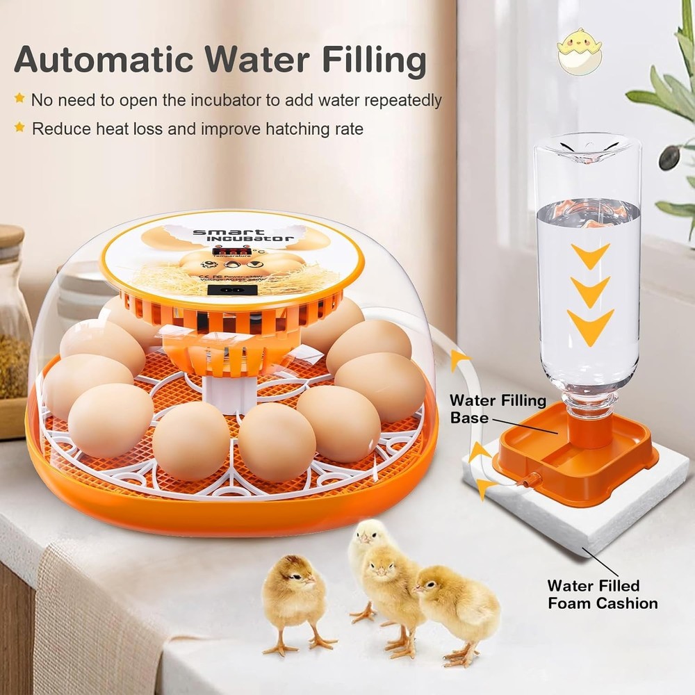 Compact 12 Egg Incubator - Automatic Egg Turning & Heated Stable Environment