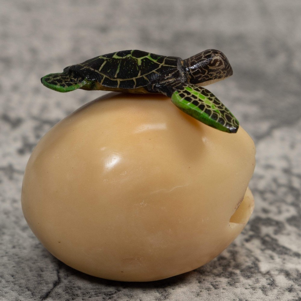 Sea Turtle Emerging From Egg Tagua Carving