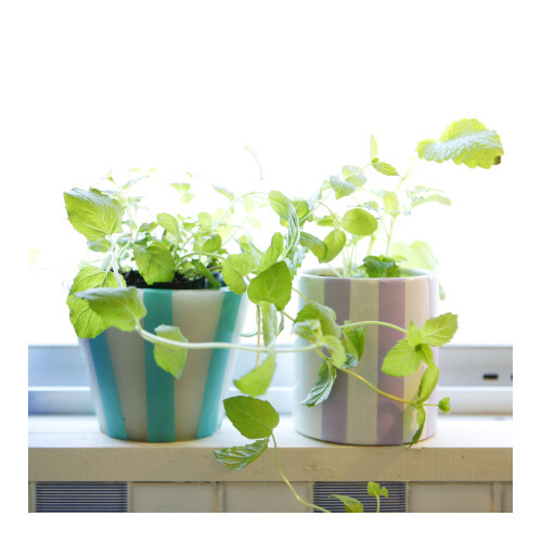 mt Solids Washi Paper Masking Tape: 3/5 in. x 23 ft. (Matte White)