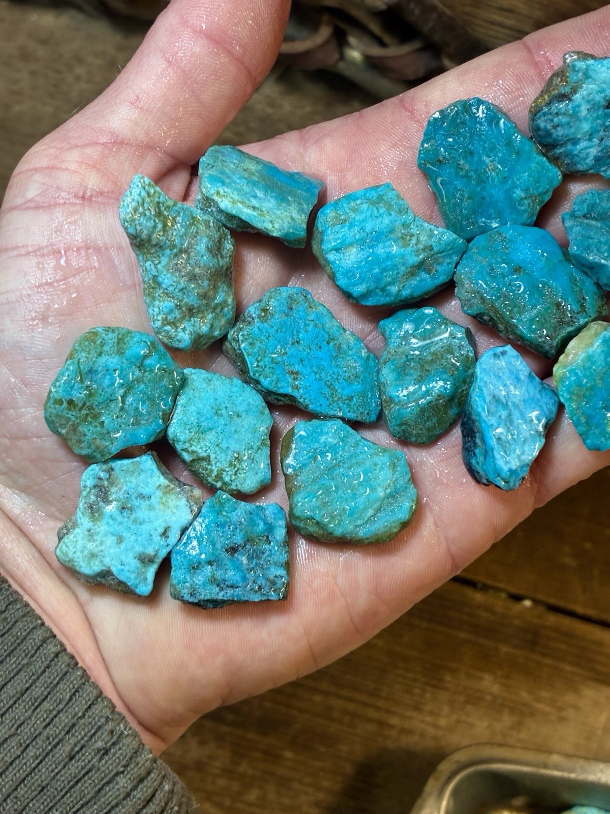 1 Lb. Ithaca Peak, Real Turquoise! Electric blues! High in matrix. ❤️‍🔥3 Left!