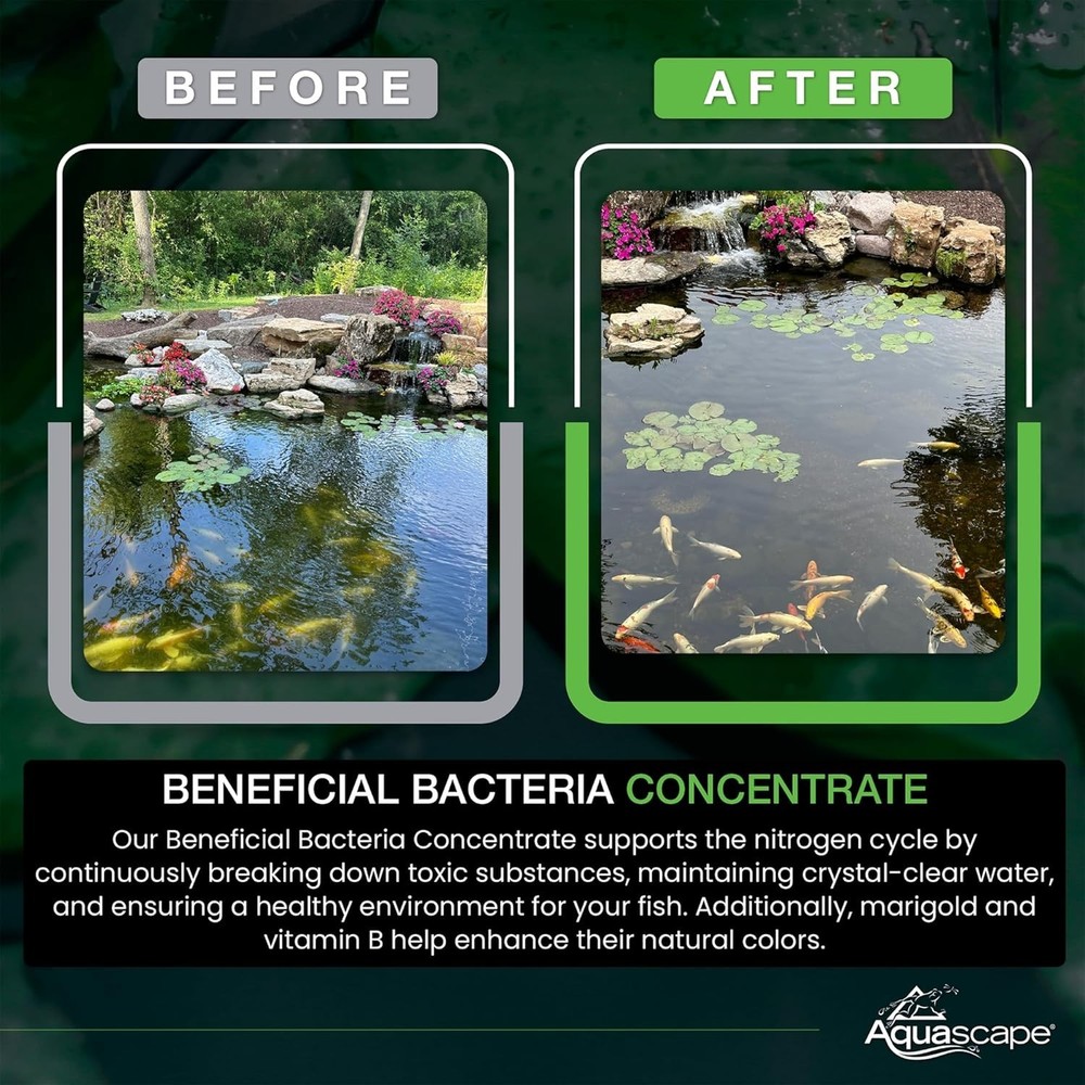 Pond Bacteria Concentrate, 1.1lb - Clear Water Solution