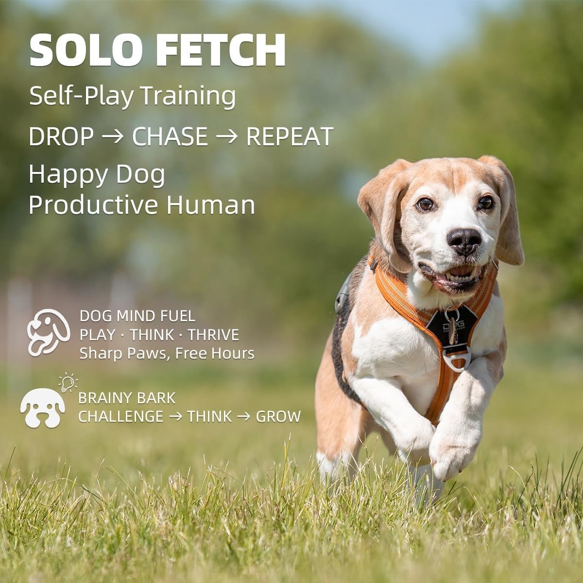 Automatic Dog Ball Launcher-Small Silent Dog Ball Thrower, 3 Adjustable Distance