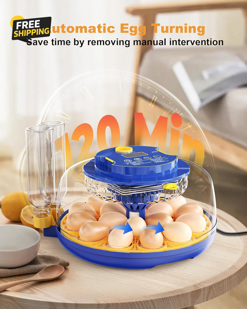 18 Chicken Egg Incubators for Hatching Eggs: Egg Incubator with Automatic Egg