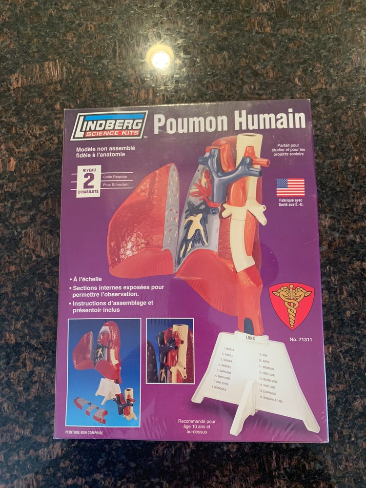 New Lindberg Human Lung Anatomically Accurate Science Model Kit MSRP $28.99