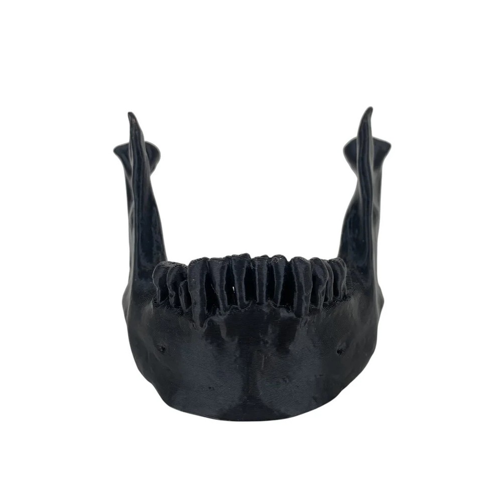 Skull Jaw Tool Holder – Black (Table Stand)