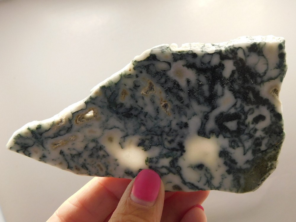 Tree Agate Polished Stone Slab Rock India Gemstone #O1