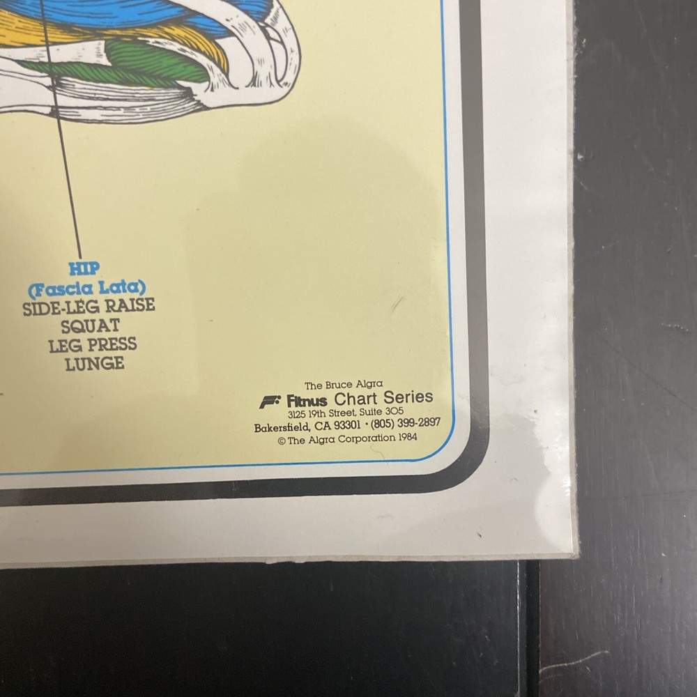 Vintage Bruce Algra Fitness Chart New Exercise Anatomy Chart