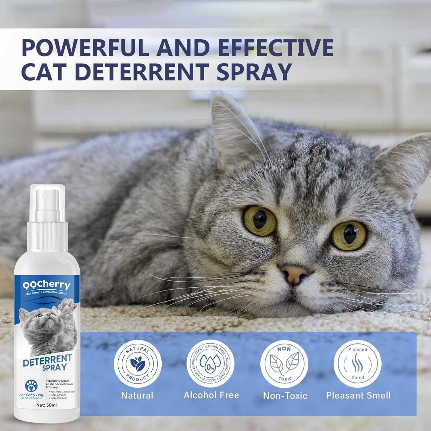 QQCherry Cat Spray Deterrent Effective Cat Scratch Furniture Protector 50ml