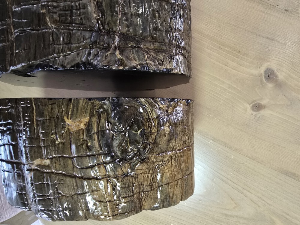 Petrified Wood Book Ends Glossed