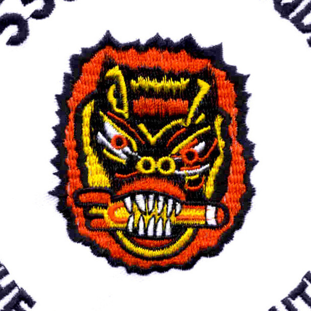 550th Bomb Squadron Patch