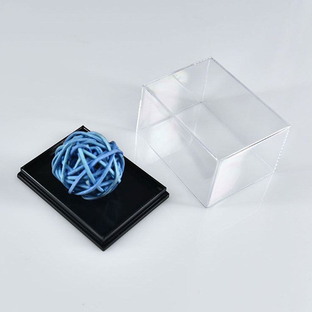 4 Pcs Plastic Specimen Display Containers Clear Boxes for Mineral Sample Storage