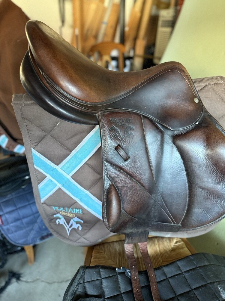 voltaire lexington saddle