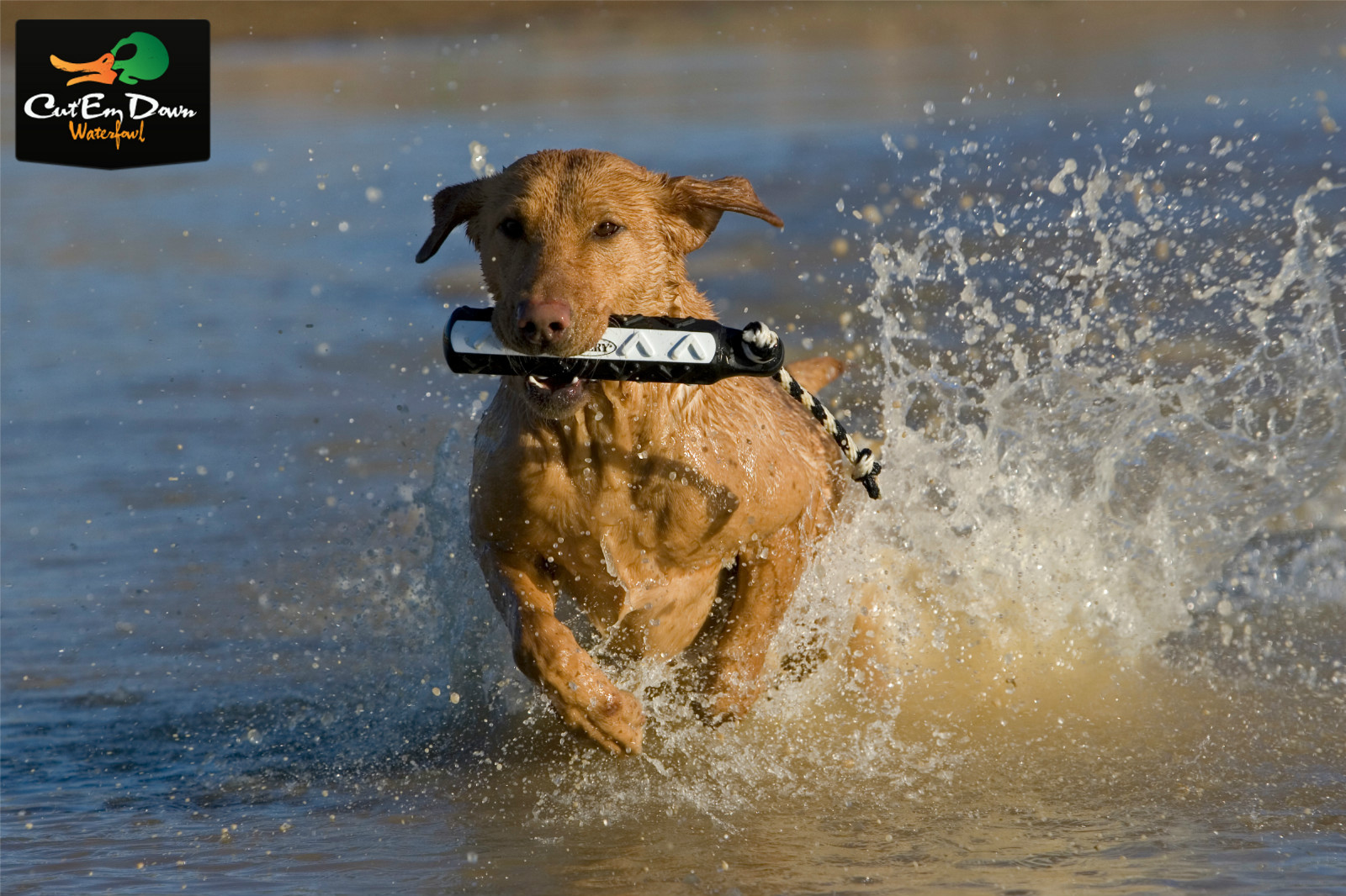 AVERY GREENHEAD GEAR GHG FLASHER HEXA BUMPER 6 PACK DOG TRAINING THROWING DUMMY