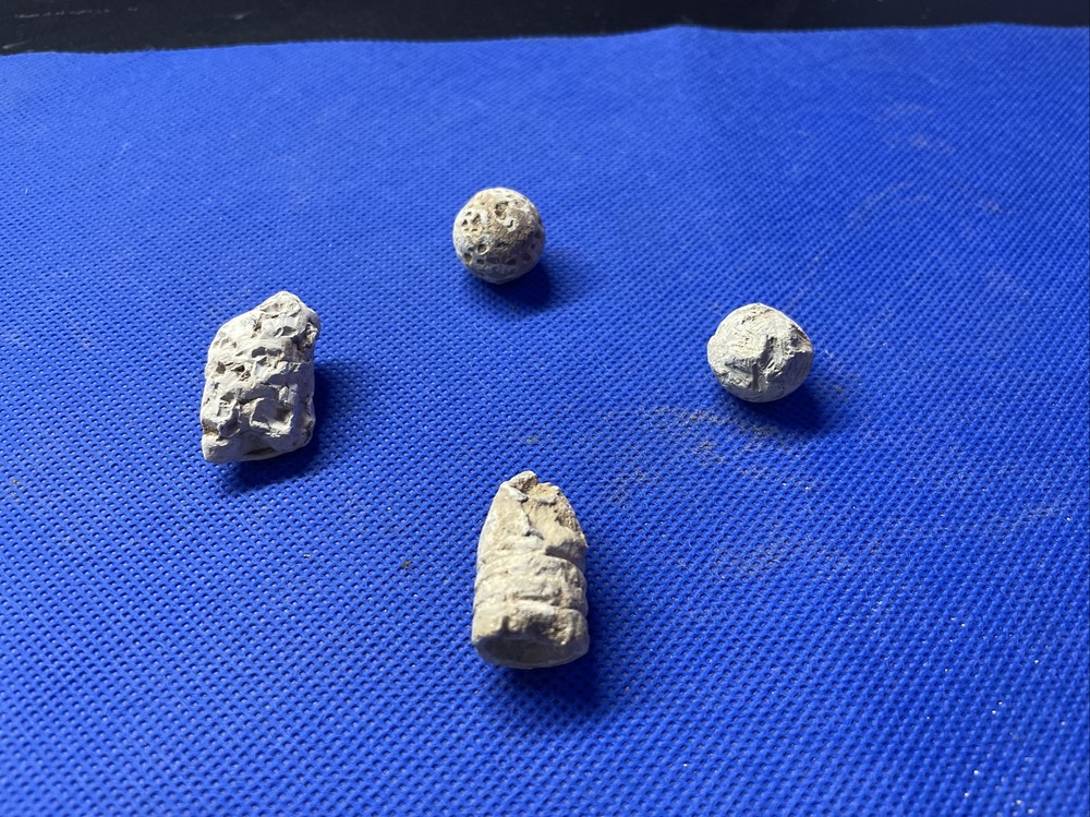 dug civil war relics