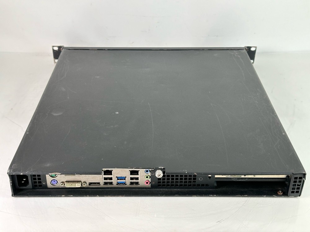 Green Hippo Hippotizer Amba v4