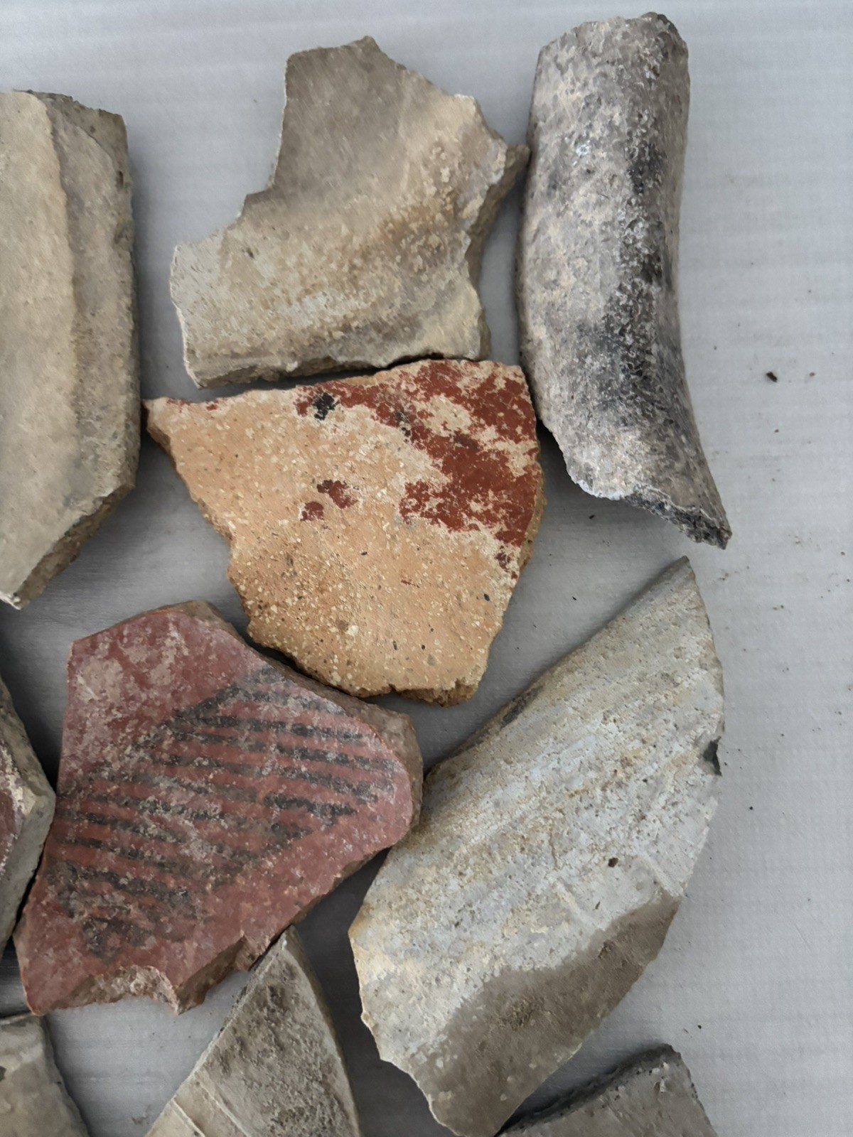 Ancient Anasazi Native American Pottery Shards Arizona L8F FREE SHIP