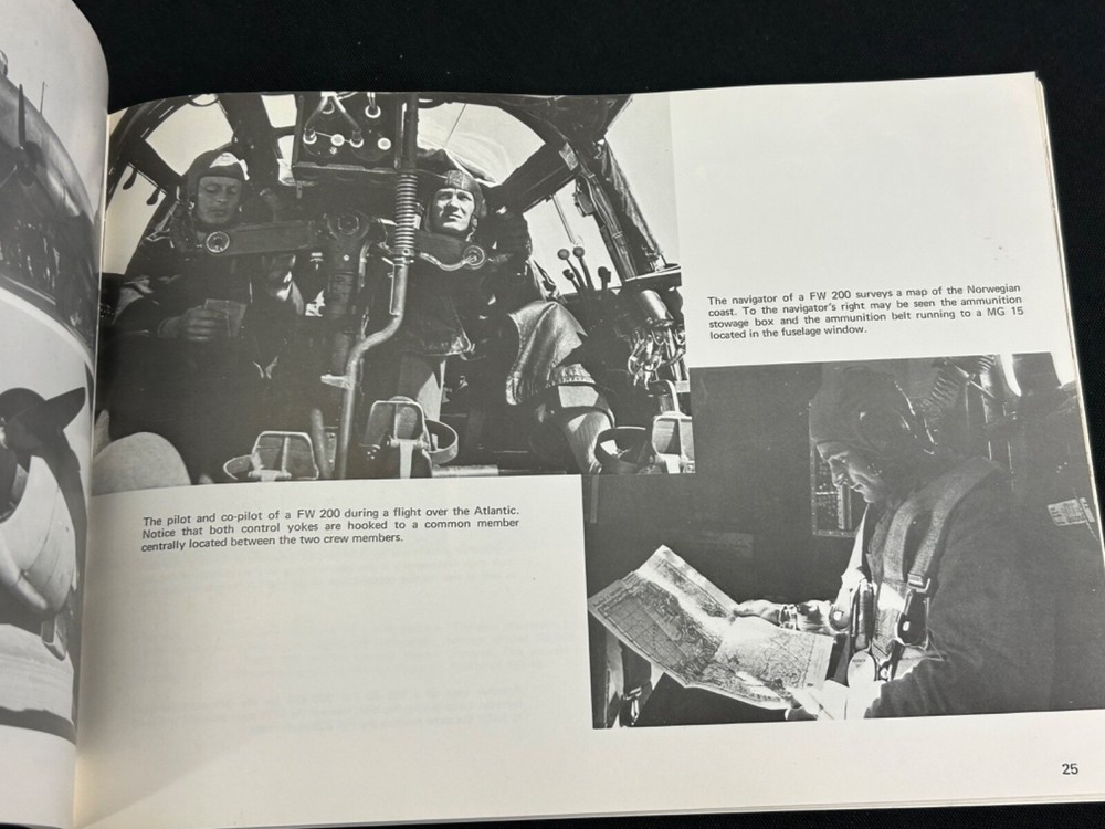 Luftwaffe In Action Book