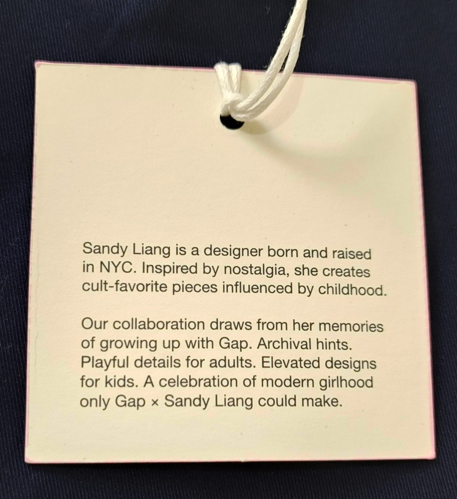 GAP x Sandy Liang Mid Rise Bow-Back Navy Blue Khakis, LTD ED - Women’s Size 10