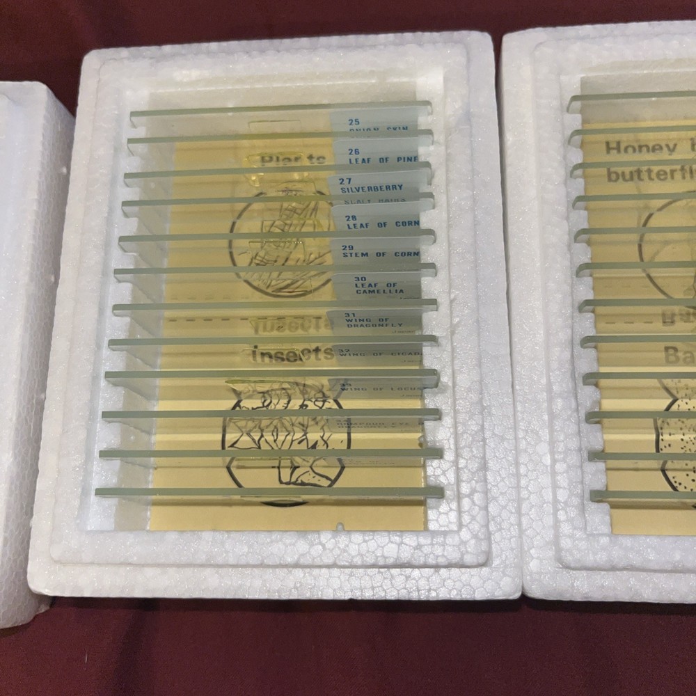 Vintage Sears Prepared Slides Set 36 Slides