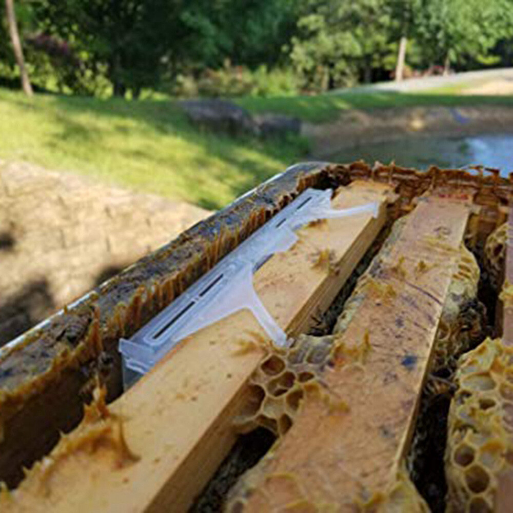 6/18PCS Small Bee Hive Beetle Blaster BeeHive Trap Beekeeping Tool Plastic USAA#