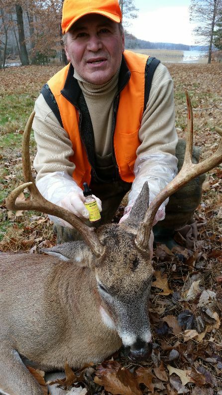 Hot Whitetail Doe Estrous