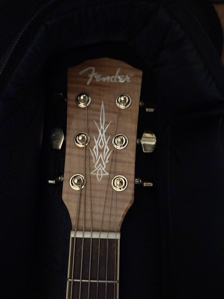 Electric Acoustic Guitar