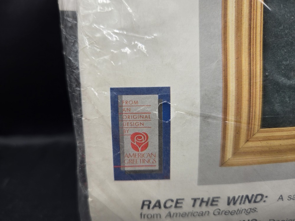 Simplicity Needlepoint Kit #05901 Race The Wind NOS Nautical Vintage 9"x12"