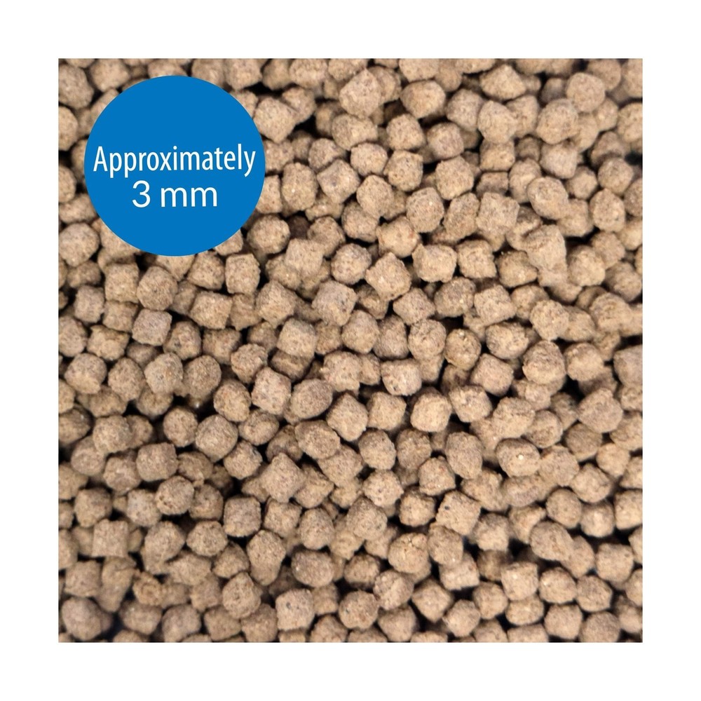 API BOTTOM FEEDER PELLETS WITH SQUID Fish Food 1.3-Ounce Container