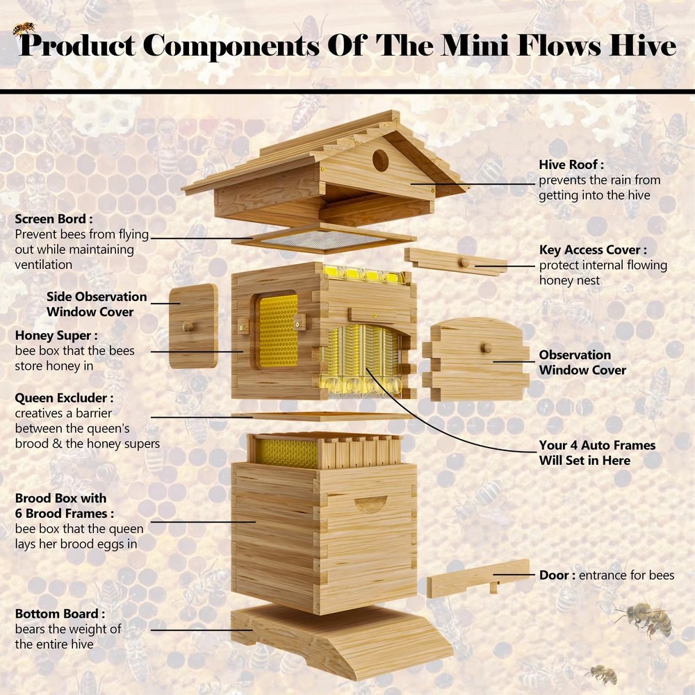 Bee Hives Boxes Starter kit with 4 Flow Bee Hive Frames