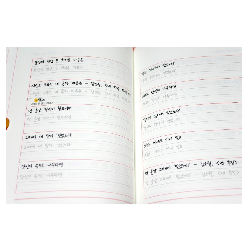 Corean Hangul Korean Practice Handwriting Cursive Text Workbook Self Study New
