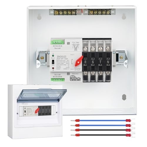 Automatic Transfer Switch 100A 220V Dual Power Millisecond Switch w/ Metal Box