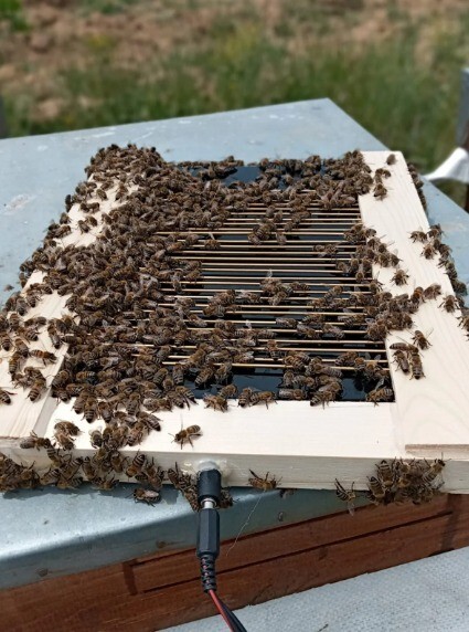 Bee Venom Collector Machine, Raw bee venom collector, Bee venom machine set 2