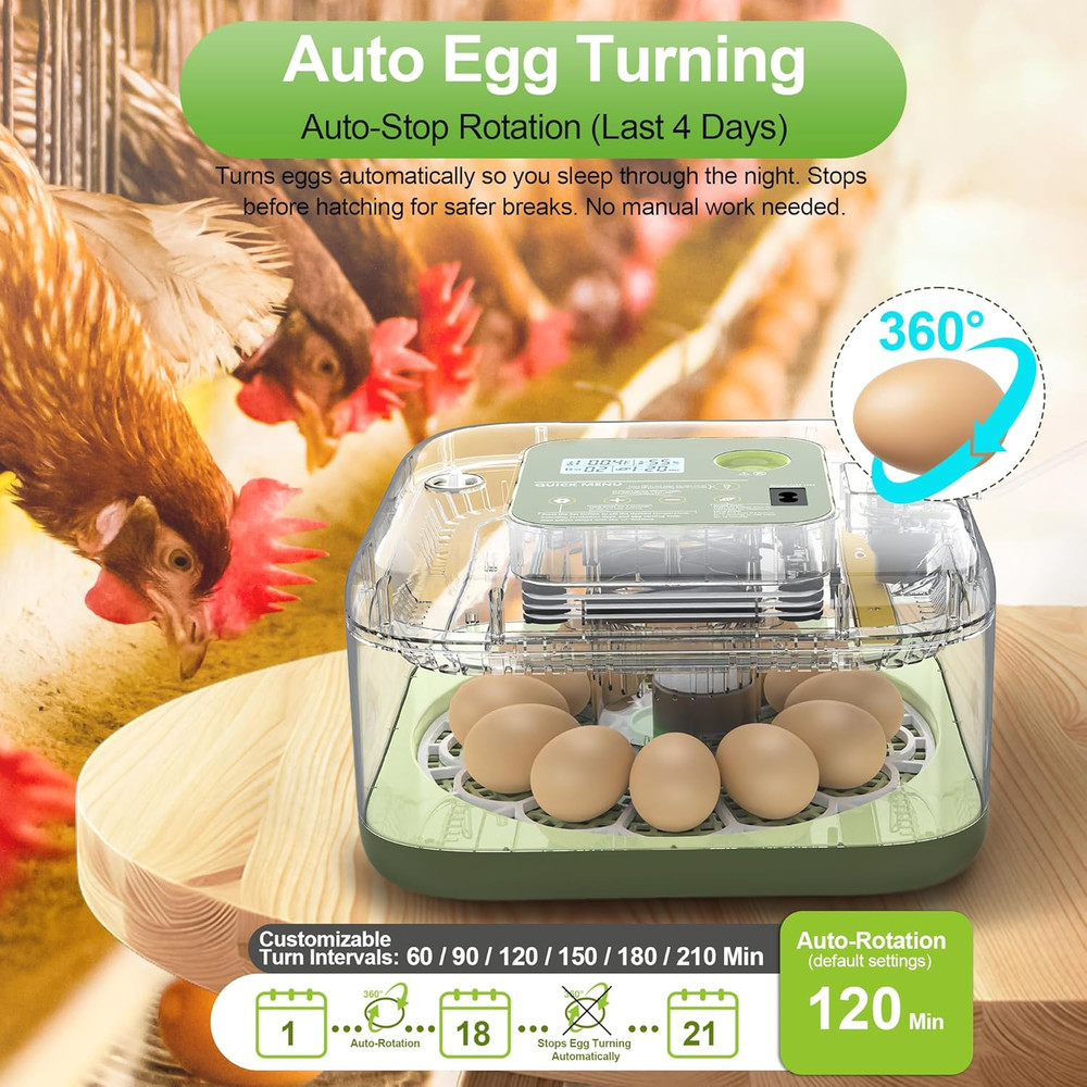 Incubators for Hatching Eggs, 12 Eggs Capacity, Egg Incubator with Automatic Egg