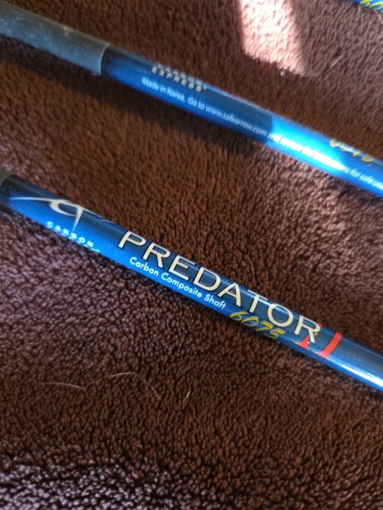 Predator 2 Arrows 6 Of Them