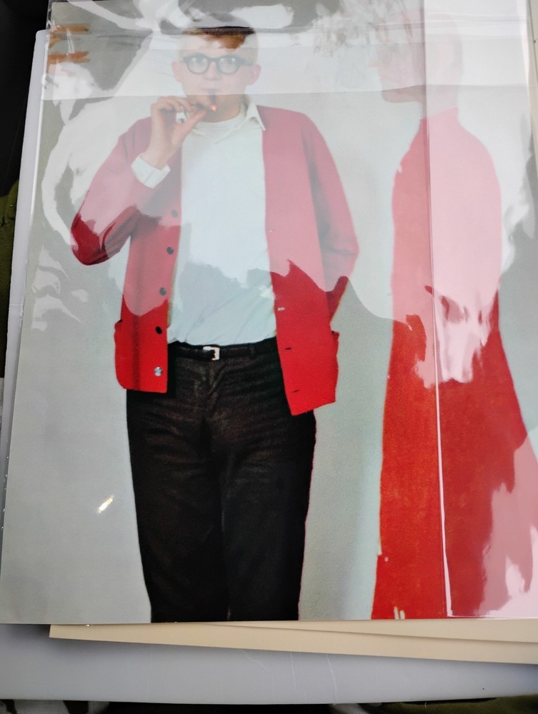 Print  Andy Warhol picture