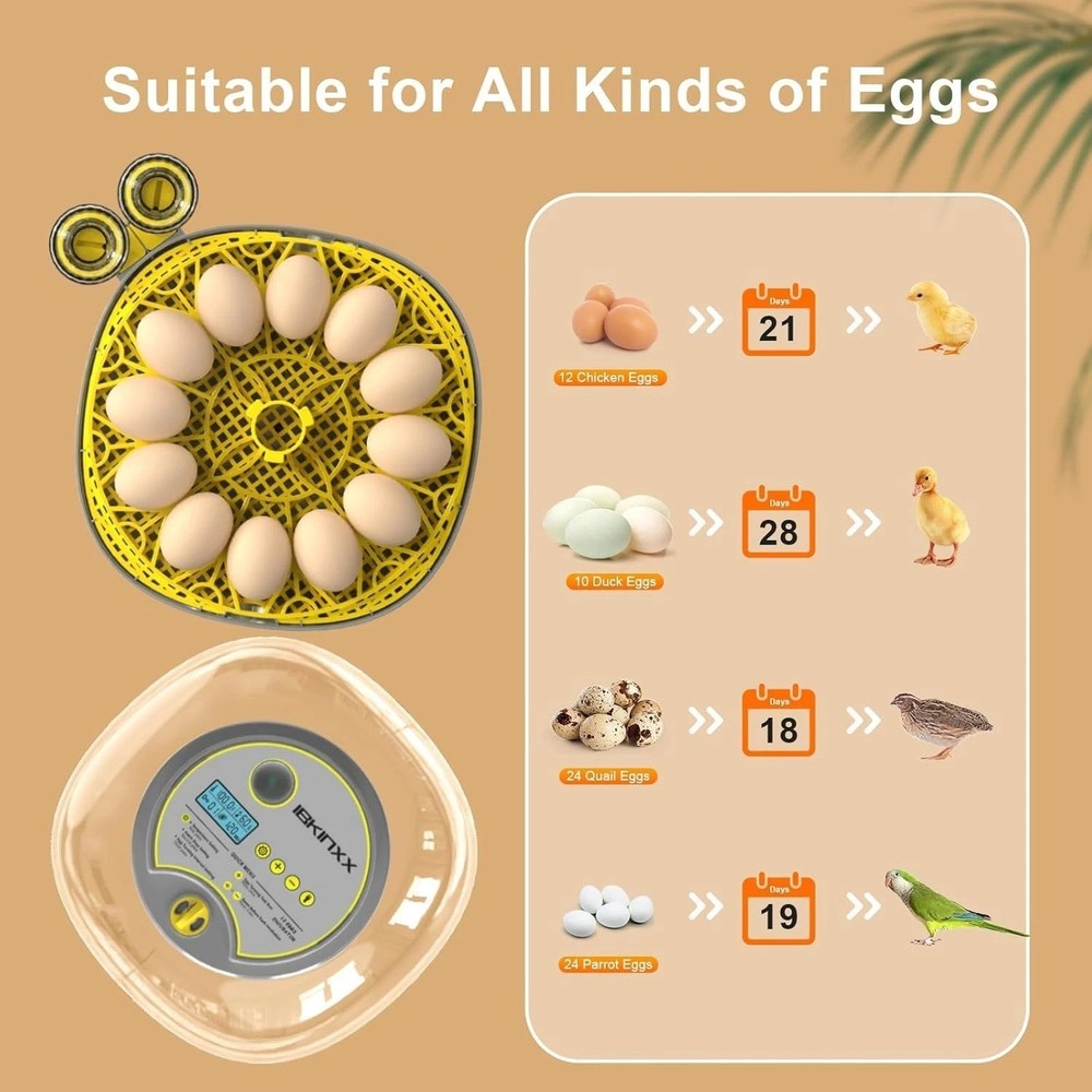 Eco-Friendly 12 Egg Capacity Incubator: Automatic Turner, Candling & 360° View