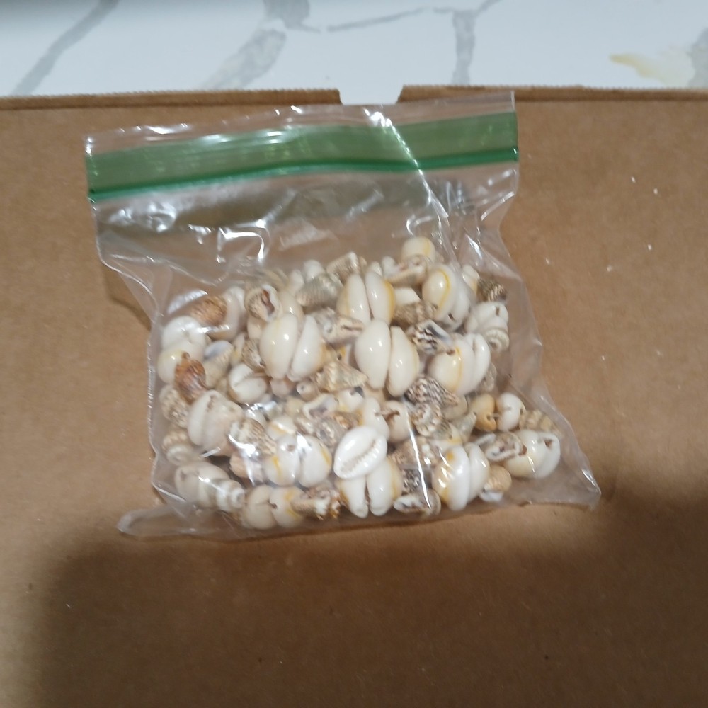 Broken Sea Shell Necklass With Small Holed SeaShells