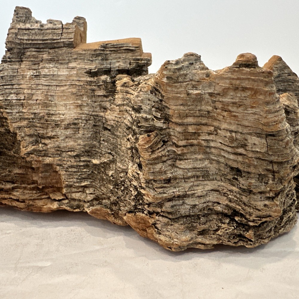 Uli Kirchler Wood Carving