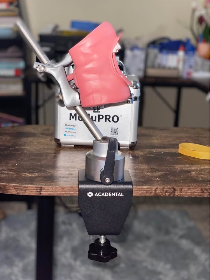 ACADENTAL MODUPRO DH PLUS: TYPDODONT, TITAN BENCH MOUNT, & MANDIBULAR LOCK
