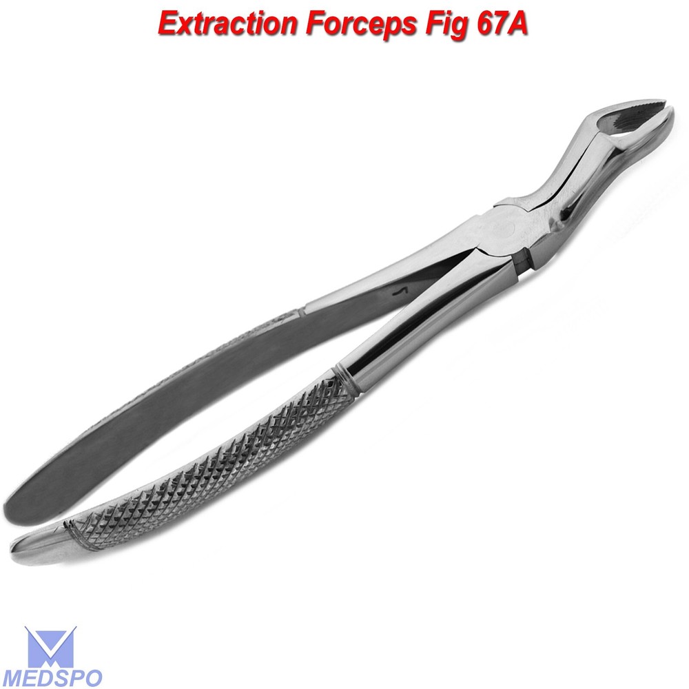 Surgical Extracting Forceps Upper Wisdom Forceps Fig-67 Dental Tooth Extraction