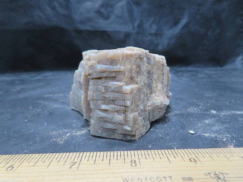 Petrified Wood 2 lbs & 3 ozs