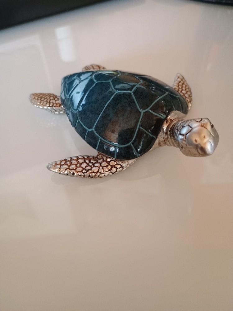 Blue And Silver Sea Turtle