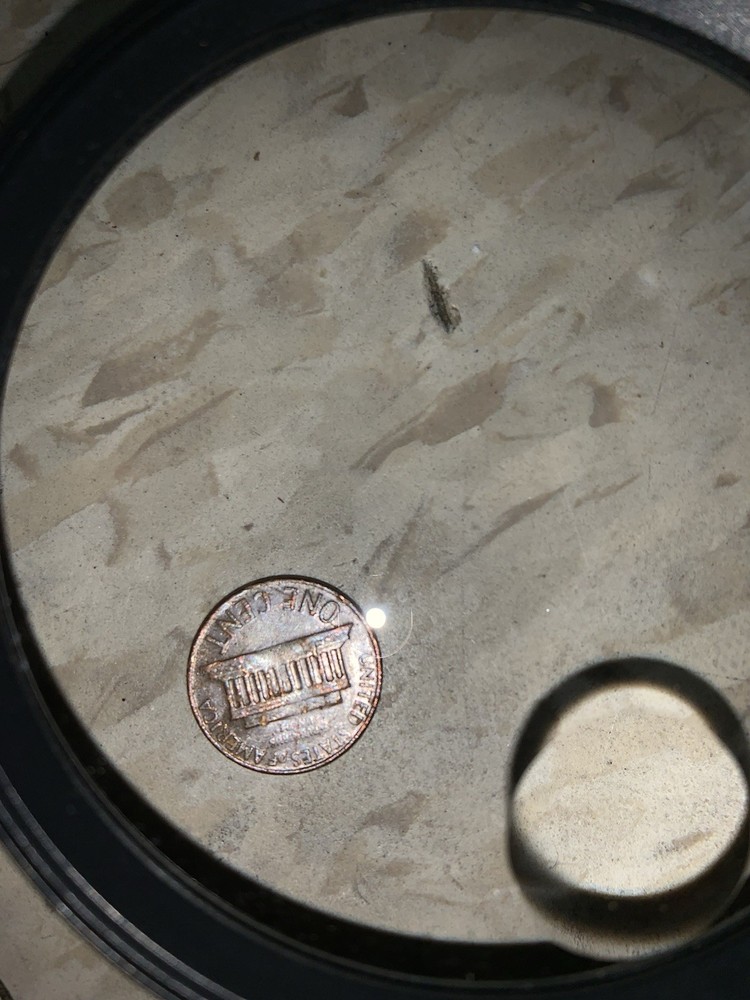 1968 Error