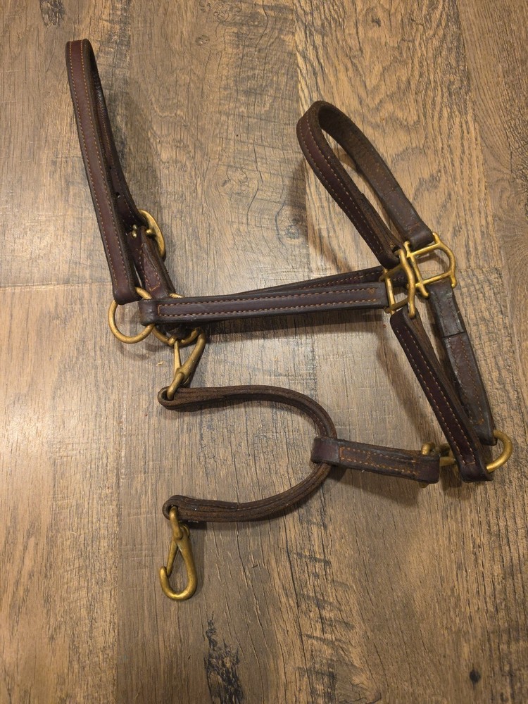 Leather Halter Cob