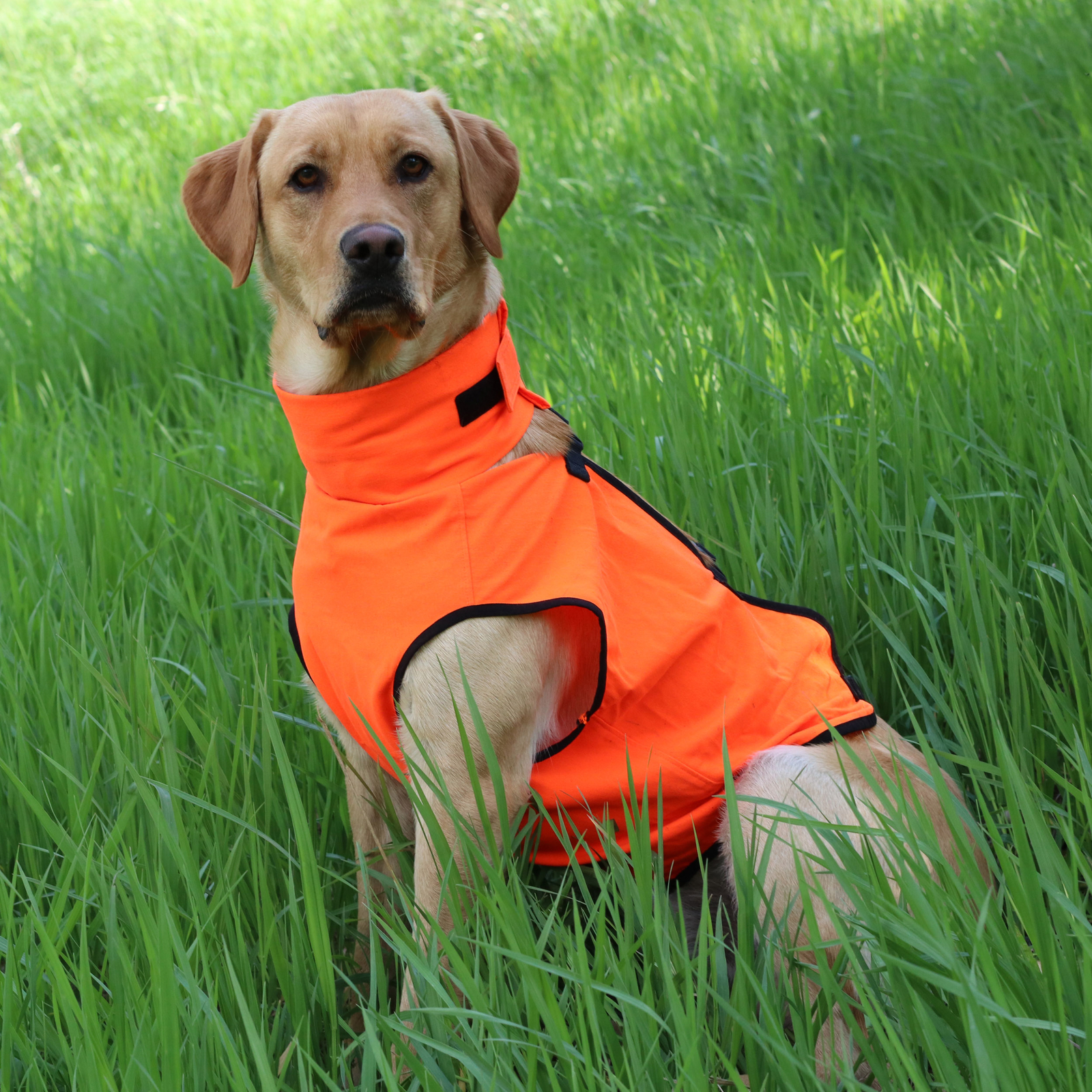 Gamehide's Elimitick Insect Repelling Dog Vest