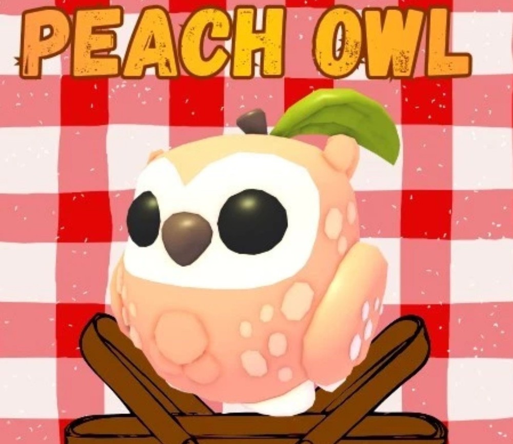 Peach Owl  (Adopt Me)