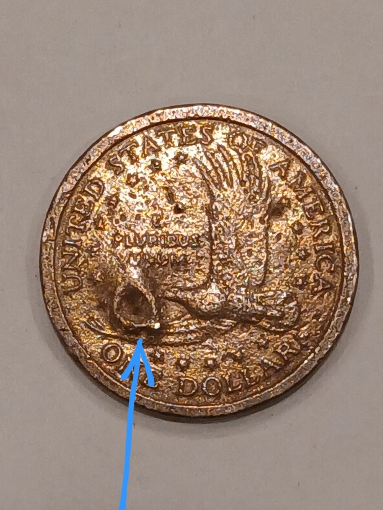 2001d Sacagawea One Dollar Coin Error