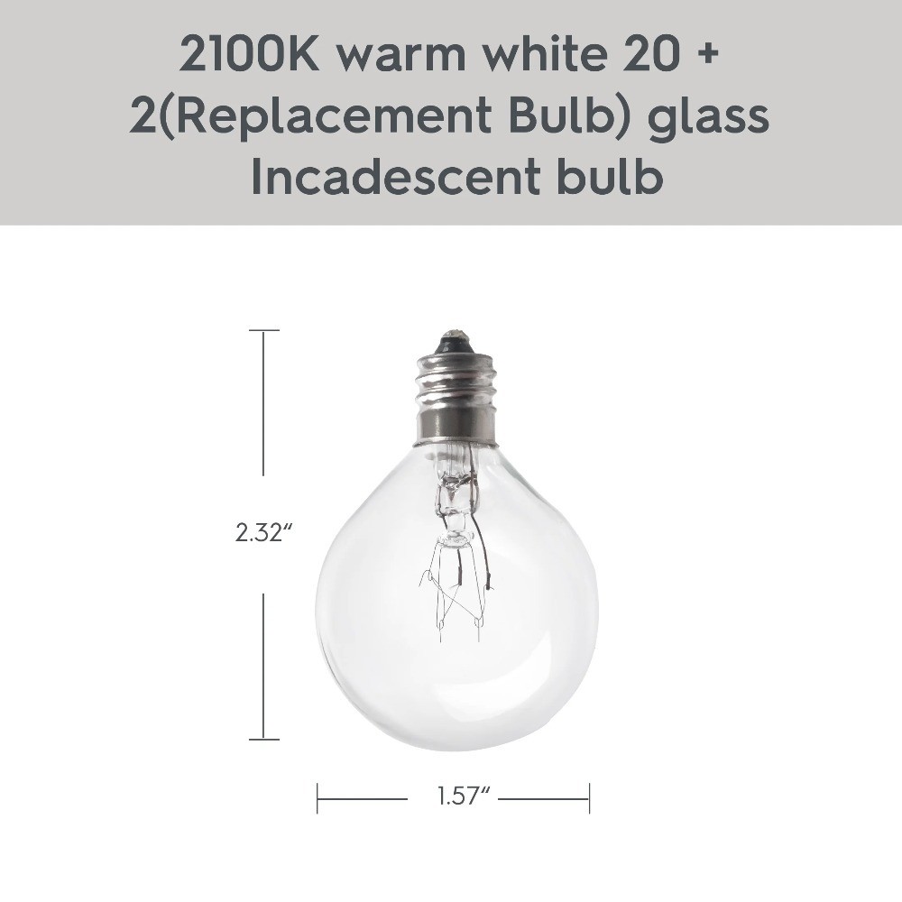 G40 Clear Glass Globe String Lights Outdoor Patio Lighting 20 Count