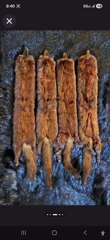 Quality Mink Fur Pelts