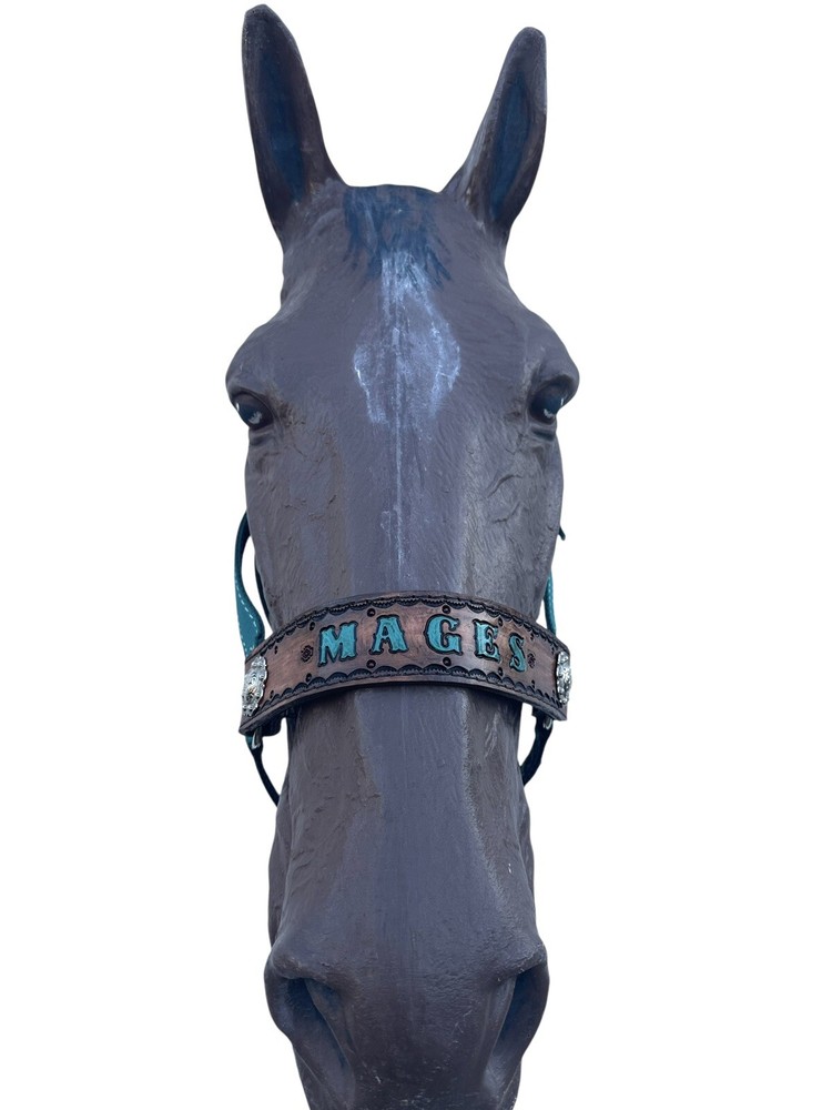 Personalized Nylon Horse Halter In Teal